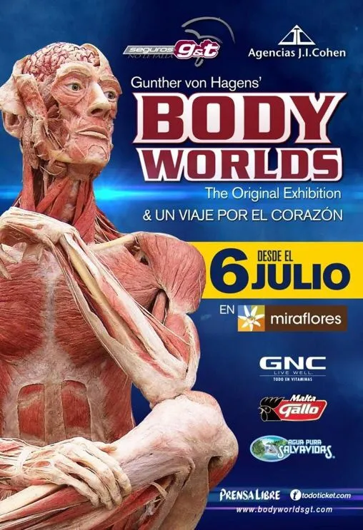Body Worlds